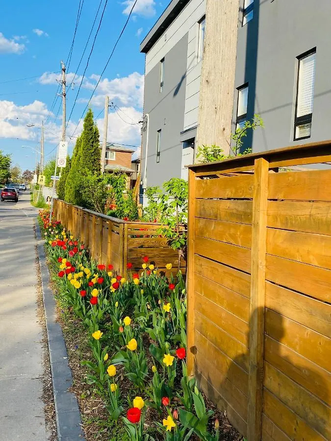 Lovely 3 Bedrooms Apartment Space Share Toronto Canada