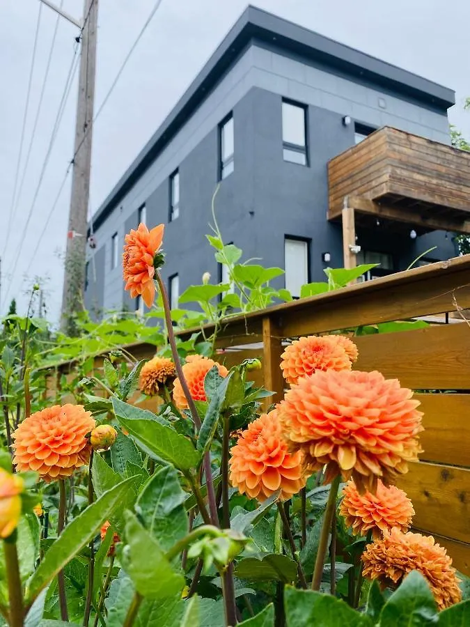 Lovely 3 Bedrooms Apartment Space Share Toronto