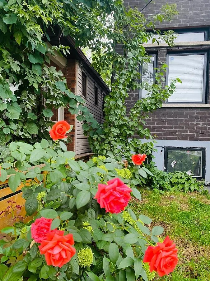 Lovely 3 Bedrooms Apartment Space Share Toronto Canada