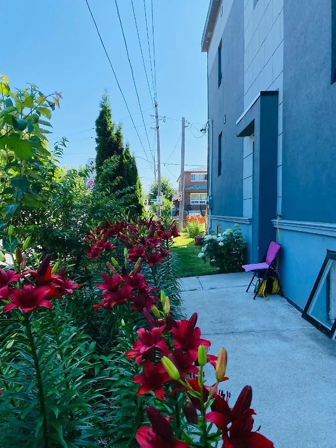 Lovely 3 Bedrooms Apartment Space Share Toronto