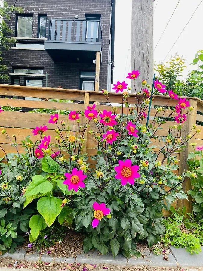 Lovely 3 Bedrooms Apartment Space Share Toronto 0*,