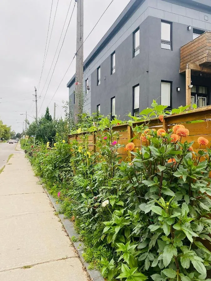 Lovely 3 Bedrooms Apartment Space Share Toronto